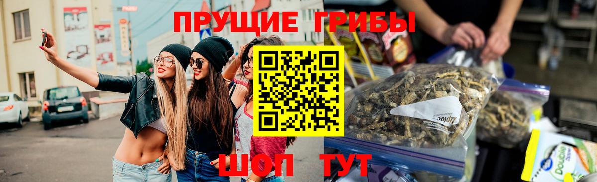 Псилоцибиновые грибы Psilocybine cubensis  Галлюциногенные грибы ЛСД  Сосновый Бор  Вход с VPN 
