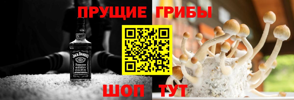 Галлюциногенные грибы мицелий Сосновый Бор
